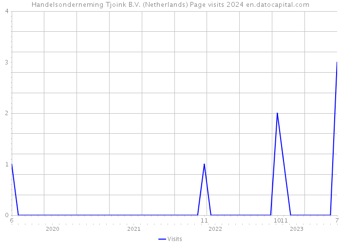 Handelsonderneming Tjoink B.V. (Netherlands) Page visits 2024 