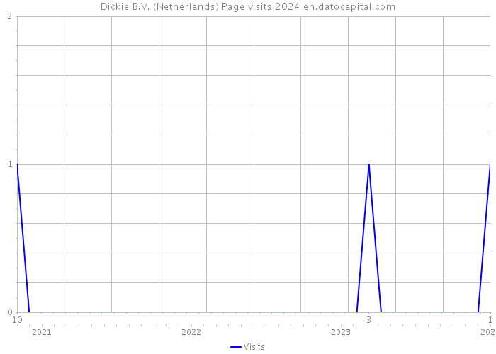 Dickie B.V. (Netherlands) Page visits 2024 