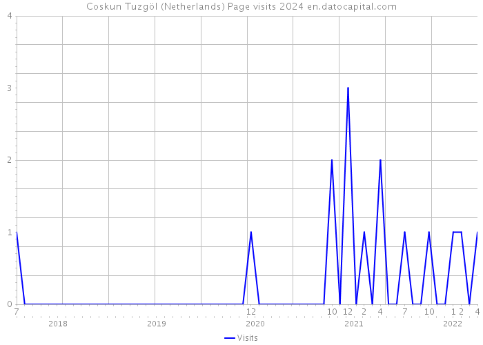 Coskun Tuzgöl (Netherlands) Page visits 2024 
