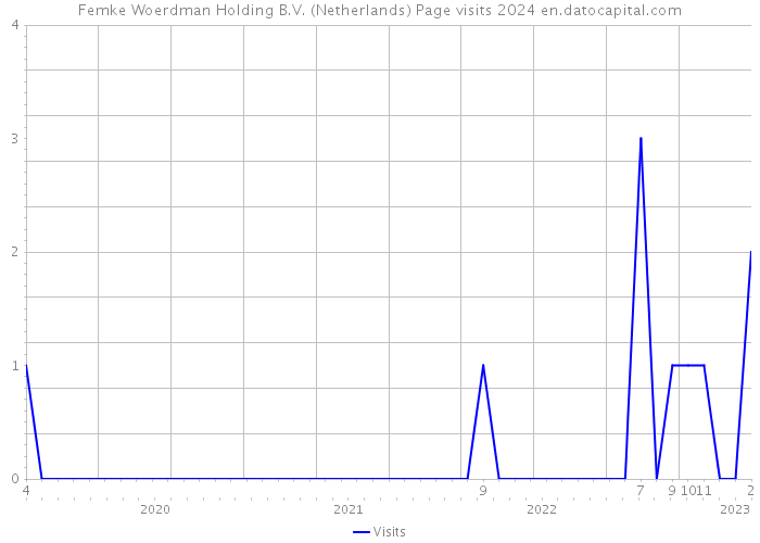 Femke Woerdman Holding B.V. (Netherlands) Page visits 2024 