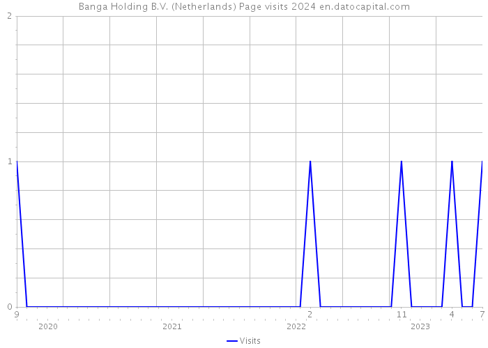 Banga Holding B.V. (Netherlands) Page visits 2024 