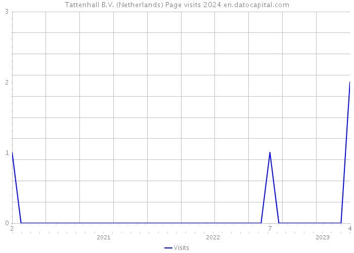 Tattenhall B.V. (Netherlands) Page visits 2024 