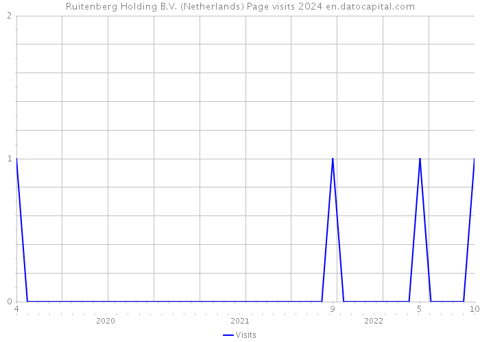 Ruitenberg Holding B.V. (Netherlands) Page visits 2024 