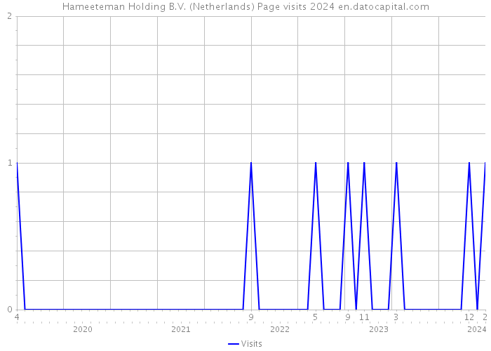 Hameeteman Holding B.V. (Netherlands) Page visits 2024 