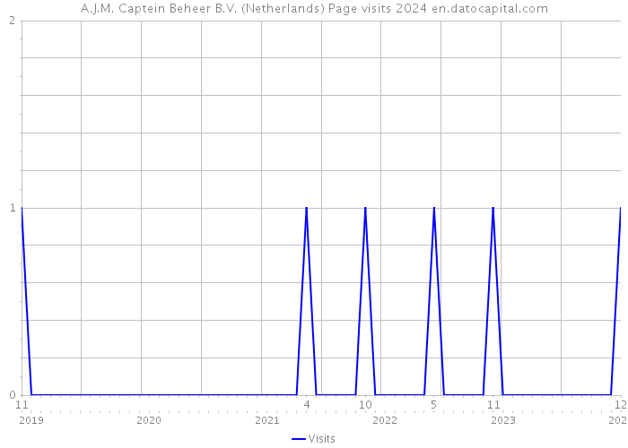 A.J.M. Captein Beheer B.V. (Netherlands) Page visits 2024 
