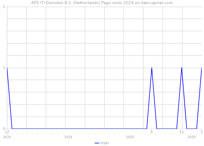 APS IT-Diensten B.V. (Netherlands) Page visits 2024 