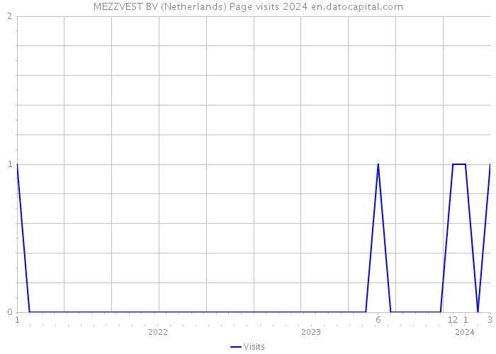 MEZZVEST BV (Netherlands) Page visits 2024 