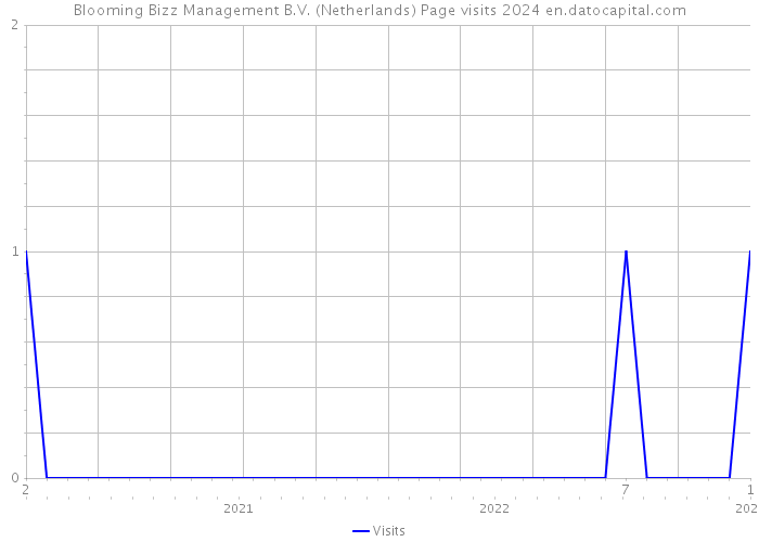Blooming Bizz Management B.V. (Netherlands) Page visits 2024 