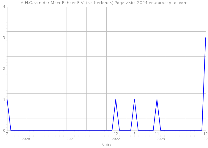 A.H.G. van der Meer Beheer B.V. (Netherlands) Page visits 2024 
