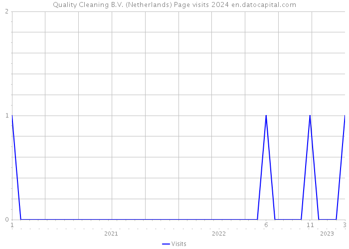 Quality Cleaning B.V. (Netherlands) Page visits 2024 