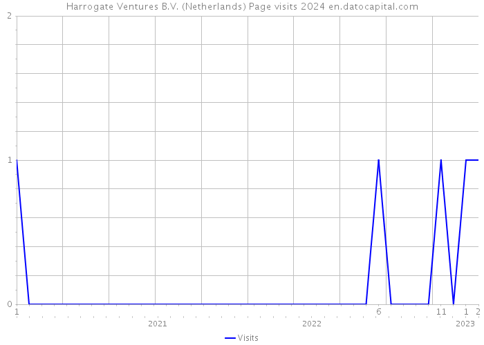 Harrogate Ventures B.V. (Netherlands) Page visits 2024 