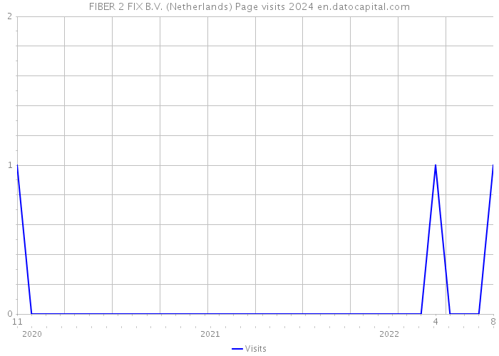 FIBER 2 FIX B.V. (Netherlands) Page visits 2024 