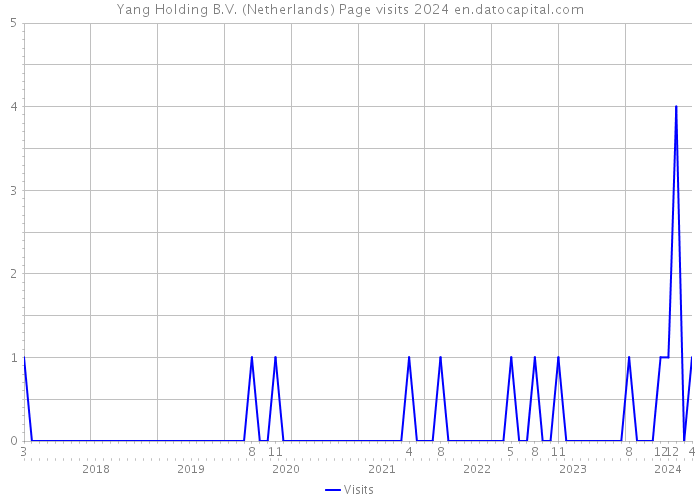 Yang Holding B.V. (Netherlands) Page visits 2024 