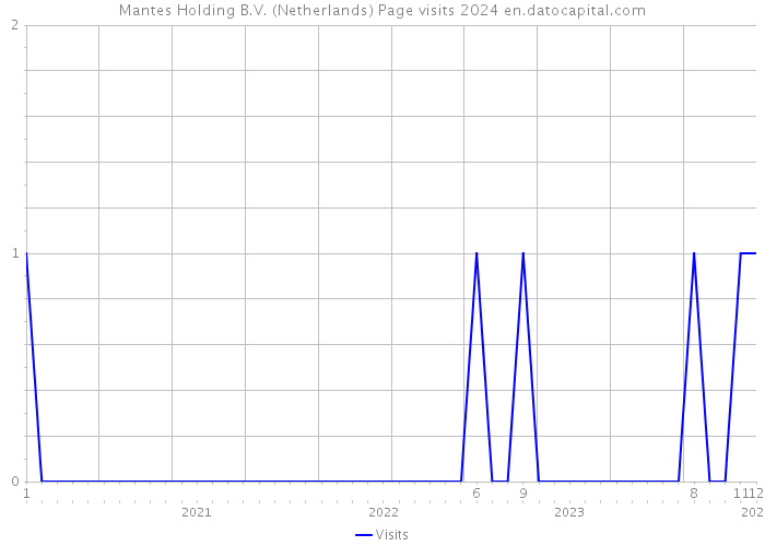 Mantes Holding B.V. (Netherlands) Page visits 2024 