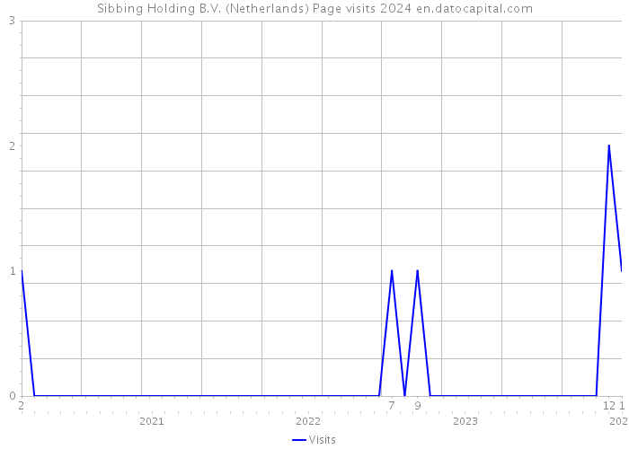 Sibbing Holding B.V. (Netherlands) Page visits 2024 