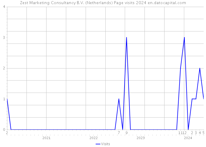 Zest Marketing Consultancy B.V. (Netherlands) Page visits 2024 