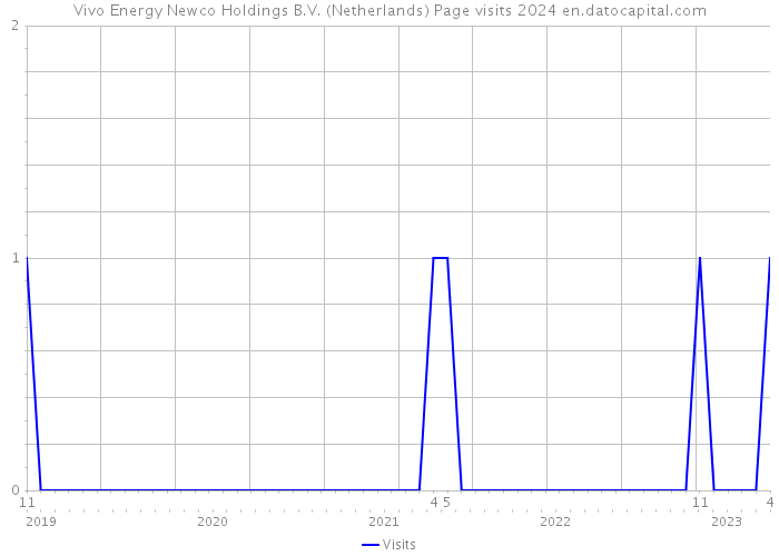 Vivo Energy Newco Holdings B.V. (Netherlands) Page visits 2024 