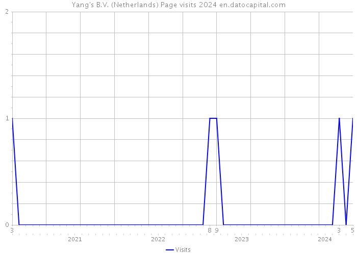Yang's B.V. (Netherlands) Page visits 2024 