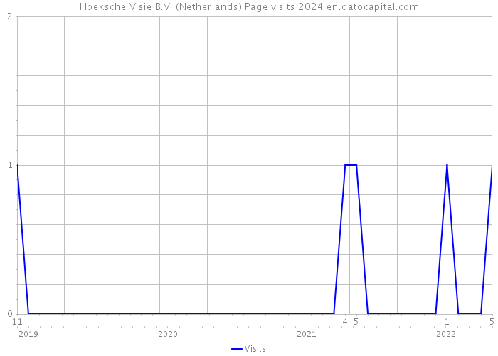 Hoeksche Visie B.V. (Netherlands) Page visits 2024 