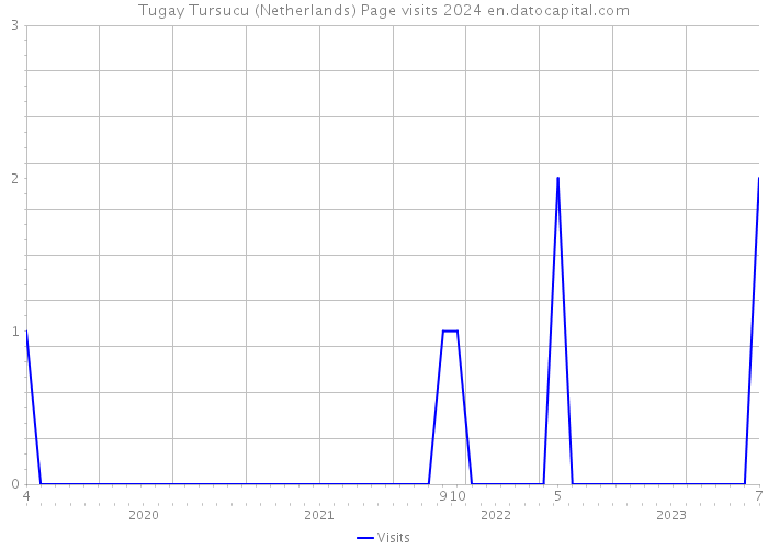 Tugay Tursucu (Netherlands) Page visits 2024 
