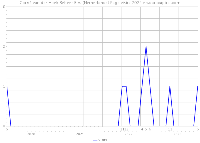 Corné van der Hoek Beheer B.V. (Netherlands) Page visits 2024 