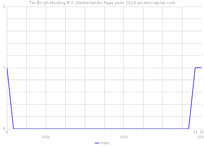 Ter Borgh Holding B.V. (Netherlands) Page visits 2024 
