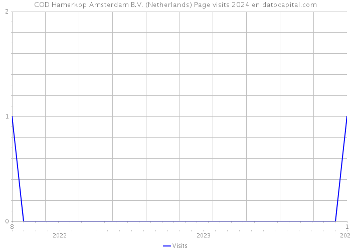 COD Hamerkop Amsterdam B.V. (Netherlands) Page visits 2024 