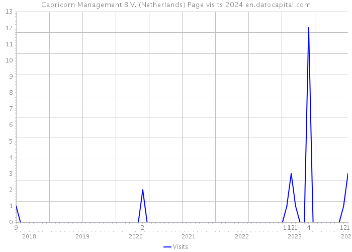Capricorn Management B.V. (Netherlands) Page visits 2024 