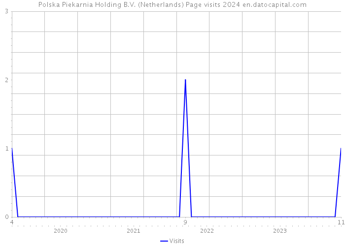 Polska Piekarnia Holding B.V. (Netherlands) Page visits 2024 