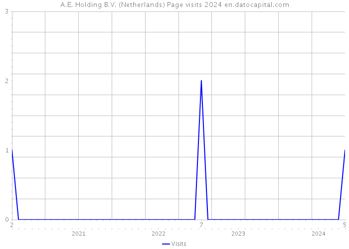 A.E. Holding B.V. (Netherlands) Page visits 2024 