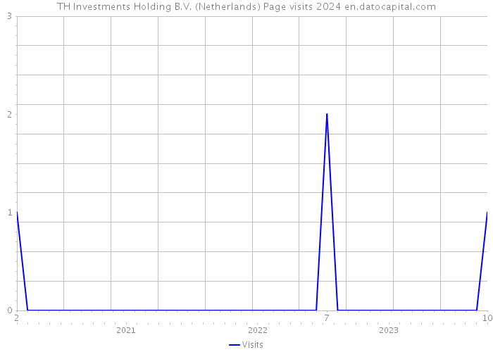 TH Investments Holding B.V. (Netherlands) Page visits 2024 