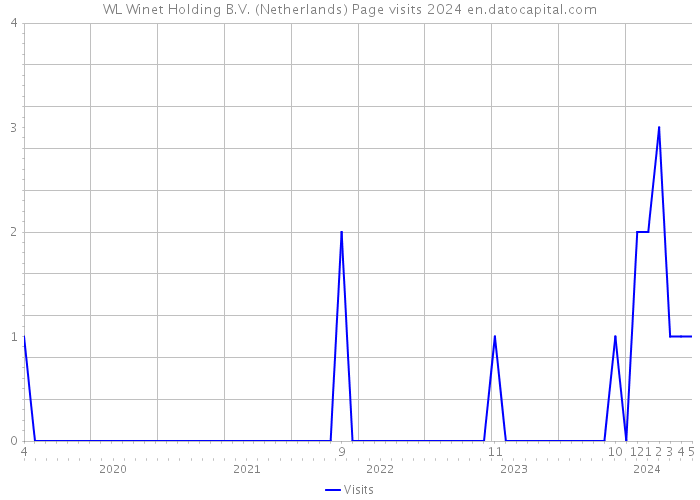 WL Winet Holding B.V. (Netherlands) Page visits 2024 