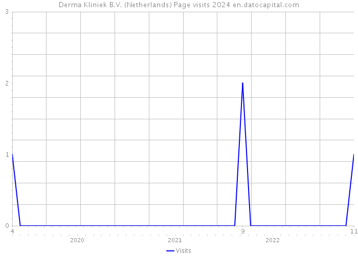 Derma Kliniek B.V. (Netherlands) Page visits 2024 