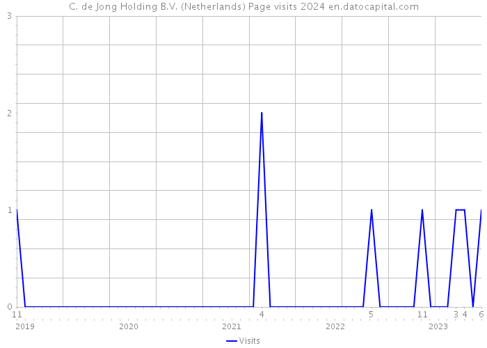 C. de Jong Holding B.V. (Netherlands) Page visits 2024 