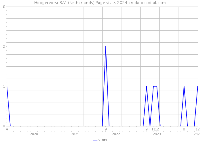 Hoogervorst B.V. (Netherlands) Page visits 2024 