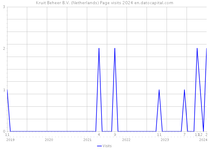 Kruit Beheer B.V. (Netherlands) Page visits 2024 