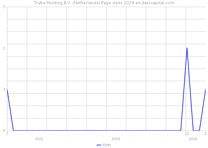 Trybe Holding B.V. (Netherlands) Page visits 2024 