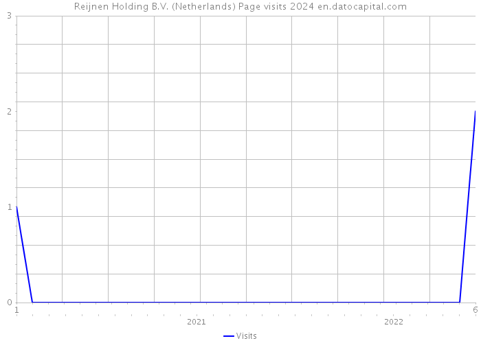 Reijnen Holding B.V. (Netherlands) Page visits 2024 