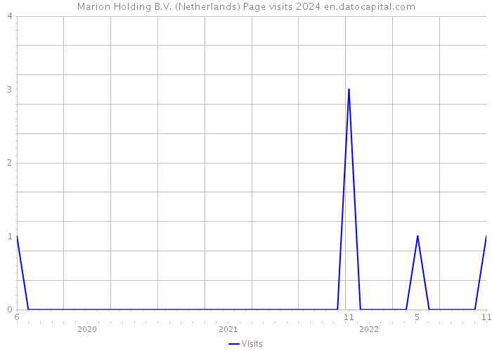 Marion Holding B.V. (Netherlands) Page visits 2024 