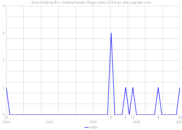 Arie Holding B.V. (Netherlands) Page visits 2024 