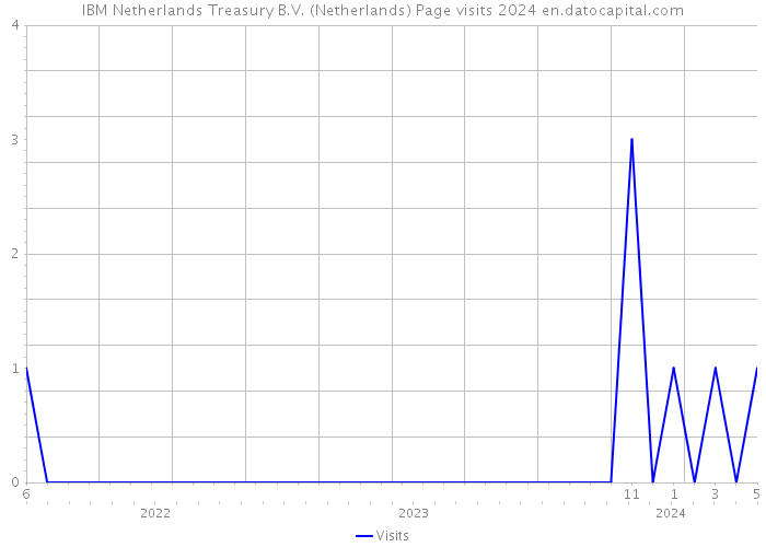 IBM Netherlands Treasury B.V. (Netherlands) Page visits 2024 