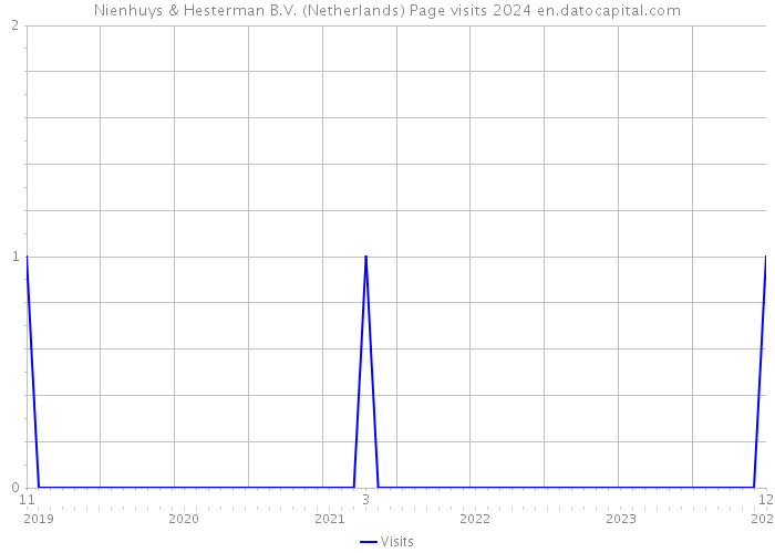 Nienhuys & Hesterman B.V. (Netherlands) Page visits 2024 