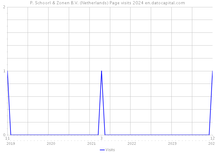P. Schoorl & Zonen B.V. (Netherlands) Page visits 2024 