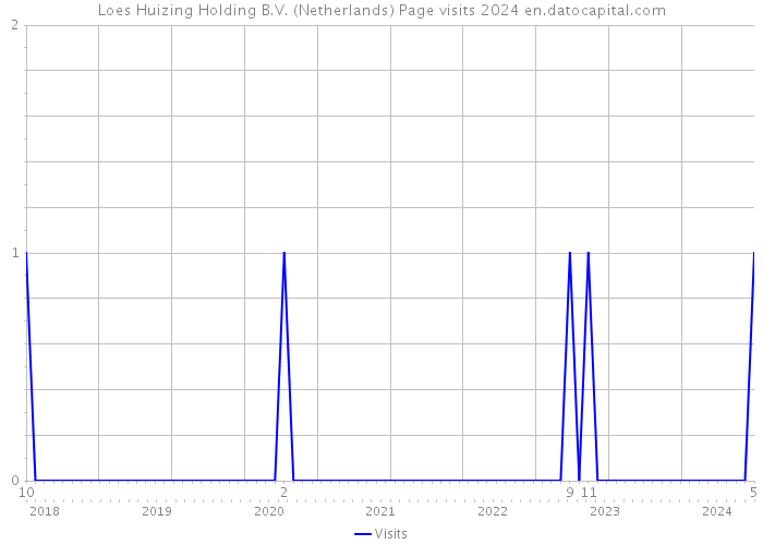 Loes Huizing Holding B.V. (Netherlands) Page visits 2024 