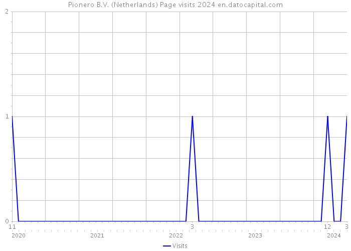 Pionero B.V. (Netherlands) Page visits 2024 
