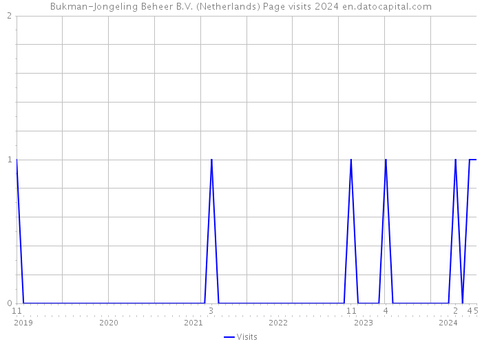 Bukman-Jongeling Beheer B.V. (Netherlands) Page visits 2024 