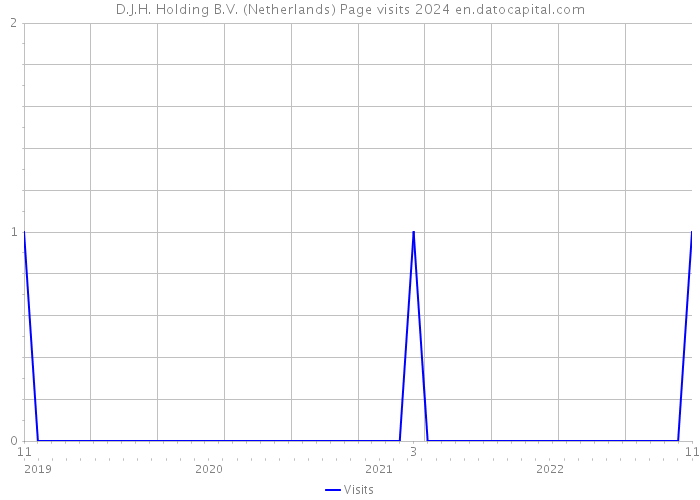 D.J.H. Holding B.V. (Netherlands) Page visits 2024 
