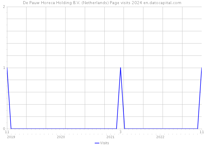De Pauw Horeca Holding B.V. (Netherlands) Page visits 2024 