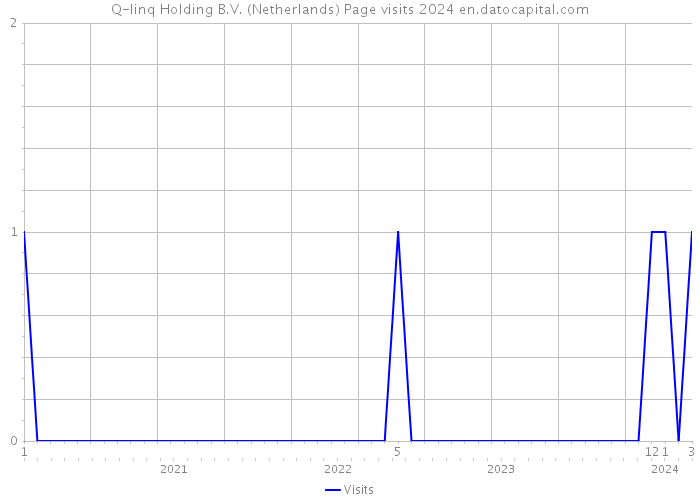 Q-linq Holding B.V. (Netherlands) Page visits 2024 