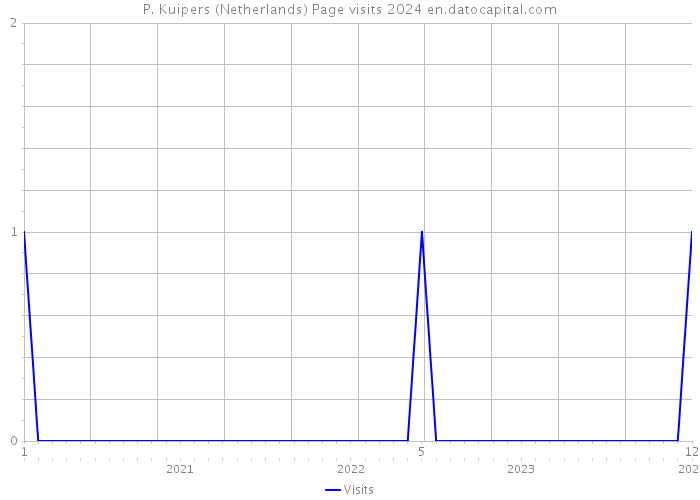 P. Kuipers (Netherlands) Page visits 2024 